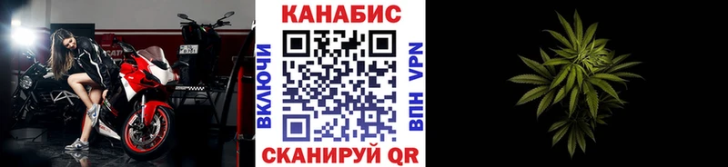 МЕГА Истра Бошки Шишки Amnesia